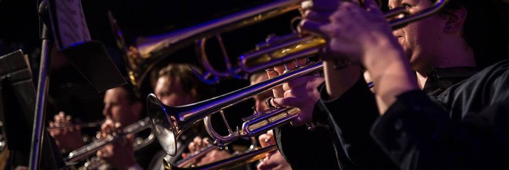 Flushing Bands banner