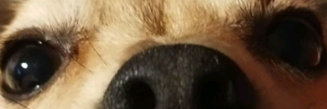 SixGabriel_o's profile banner image
