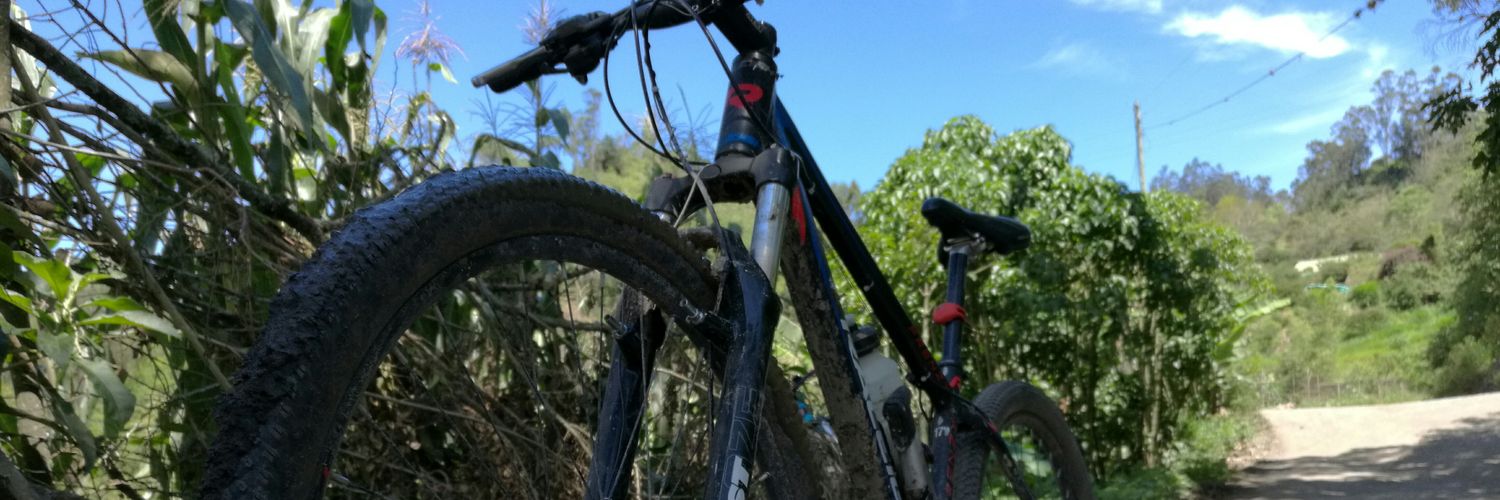 Asael0411's profile banner image