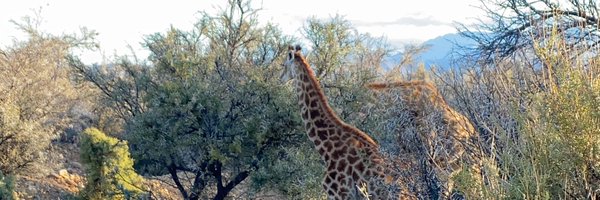 Aaeshahmed Profile Banner