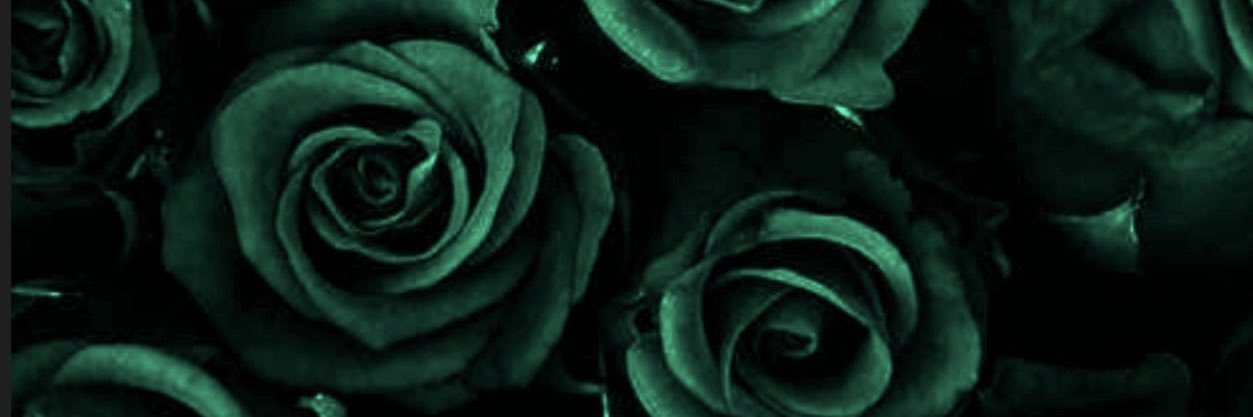 Sly2_55's profile banner image
