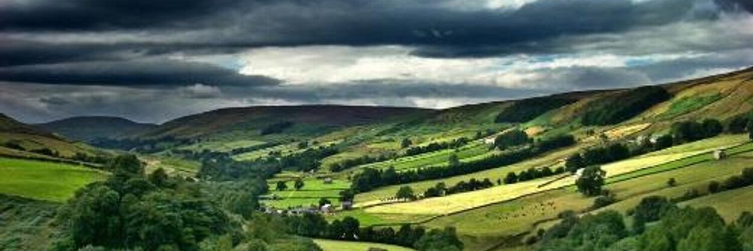 alison reid (alisonreid) Twitter