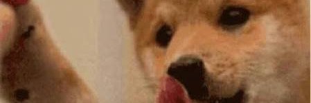 acsicnarff's profile banner image