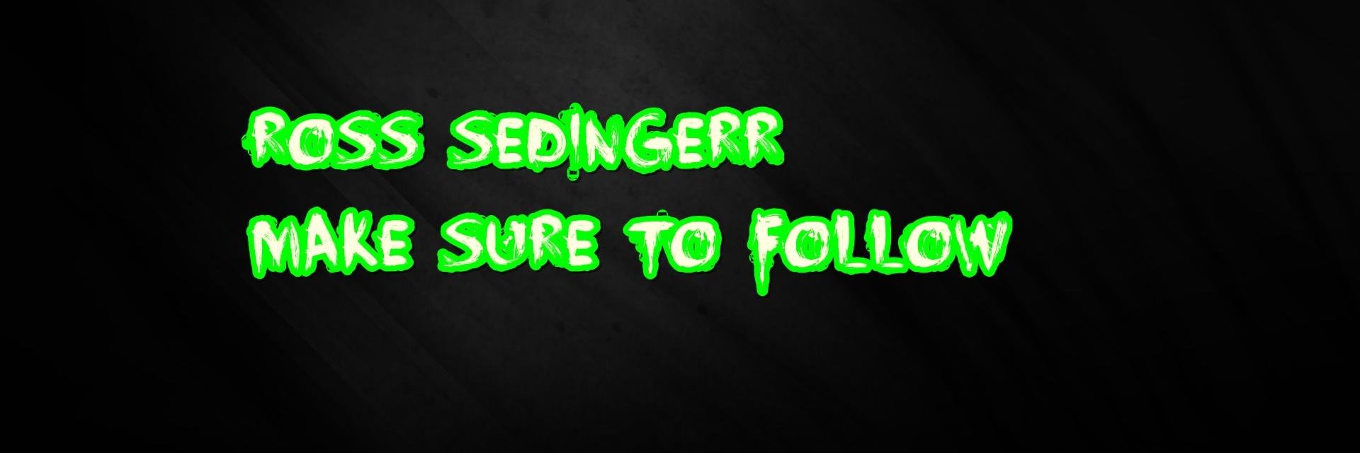 Sedinger Records banner