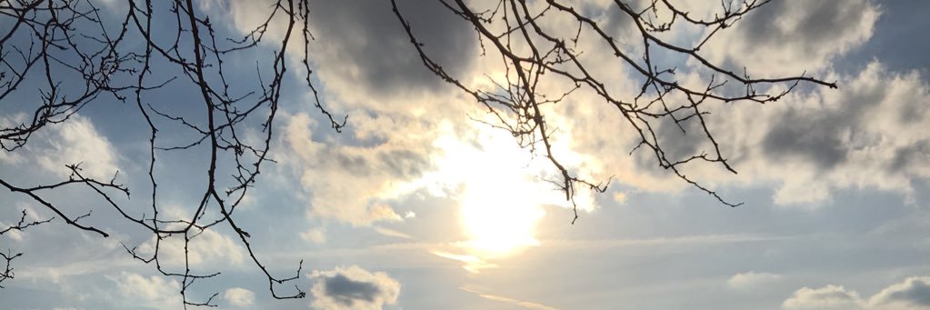 Nicole_M5's profile banner image