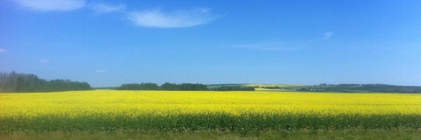 wallissnow Profile Banner