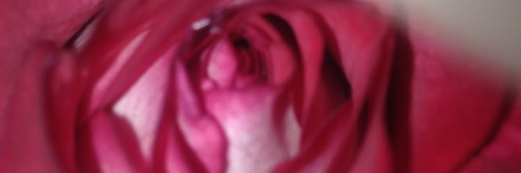 FanofReality14's profile banner image