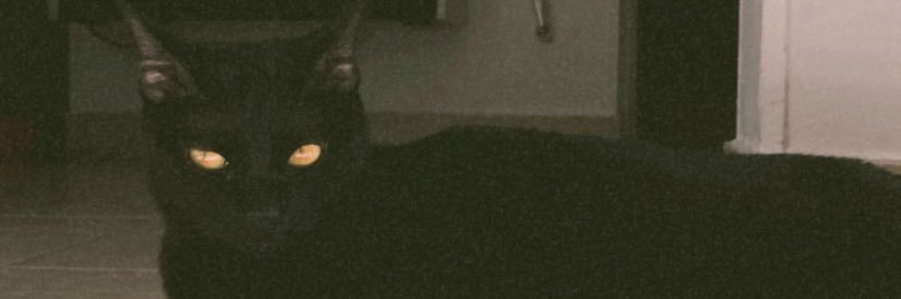 AyelenSt's profile banner image