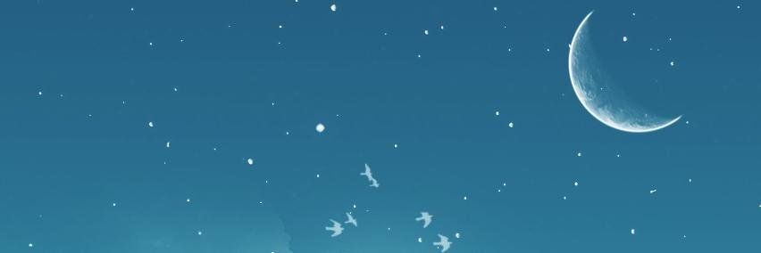 MTorbe's profile banner image