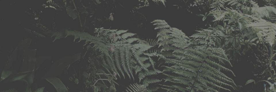 TheBelle_AC's profile banner image