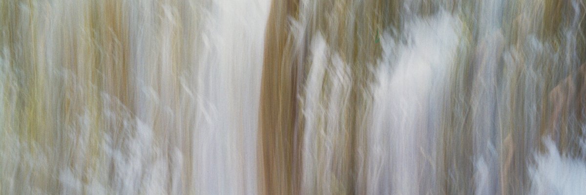 nedergs's profile banner image