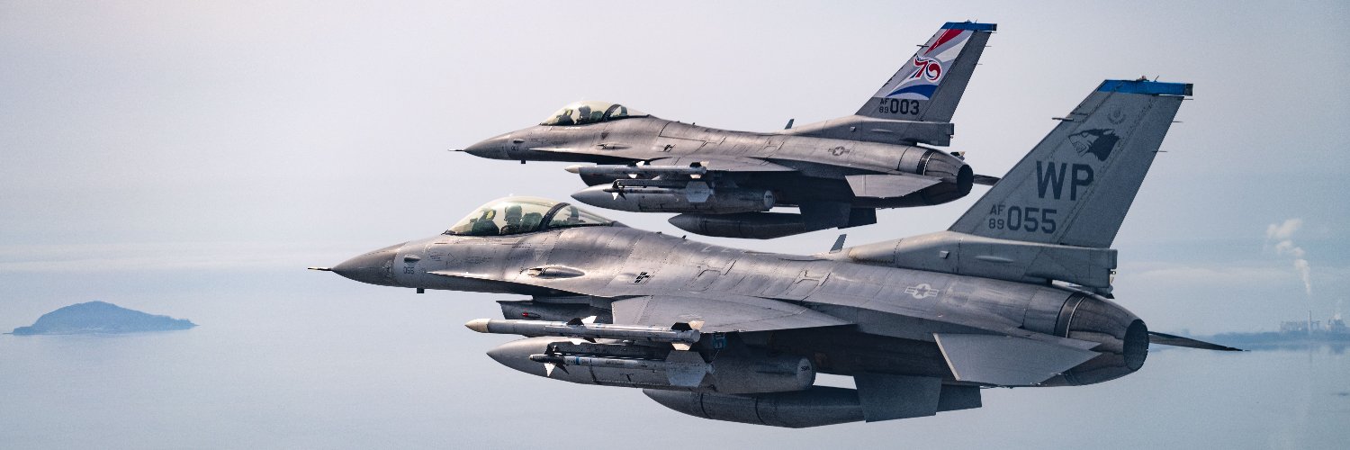 8th Fighter Wing — Wolf Pack banner