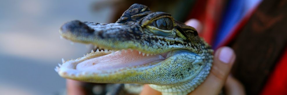 STAR Eco Station banner