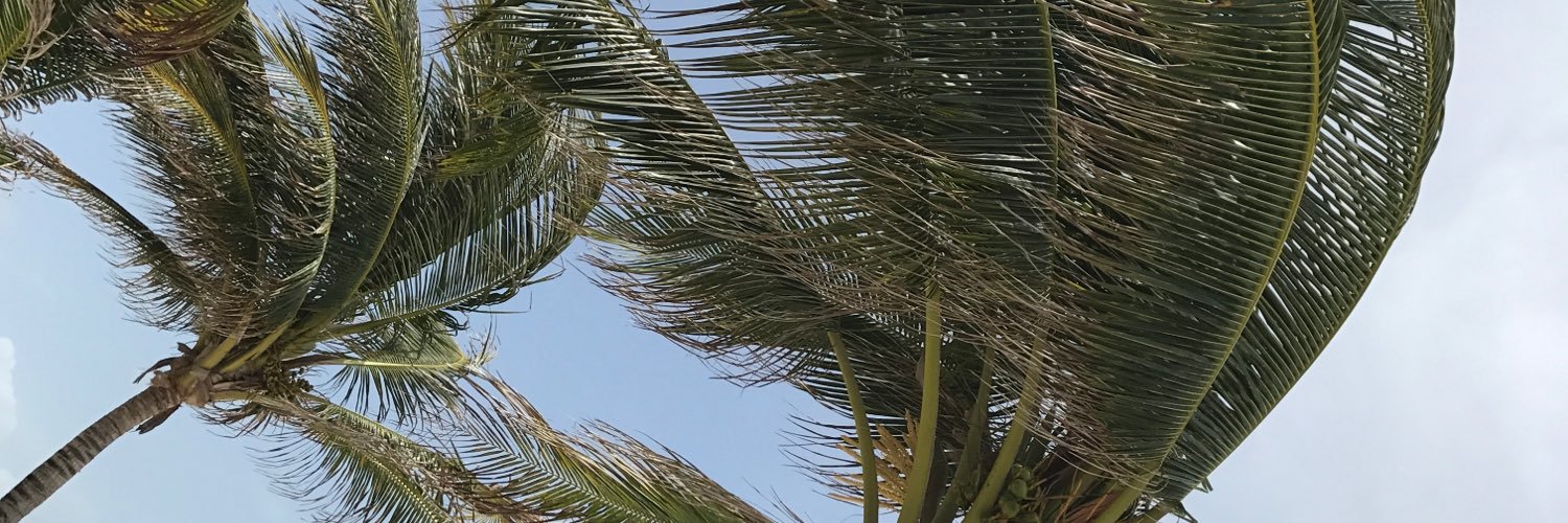 GabyArora's profile banner image
