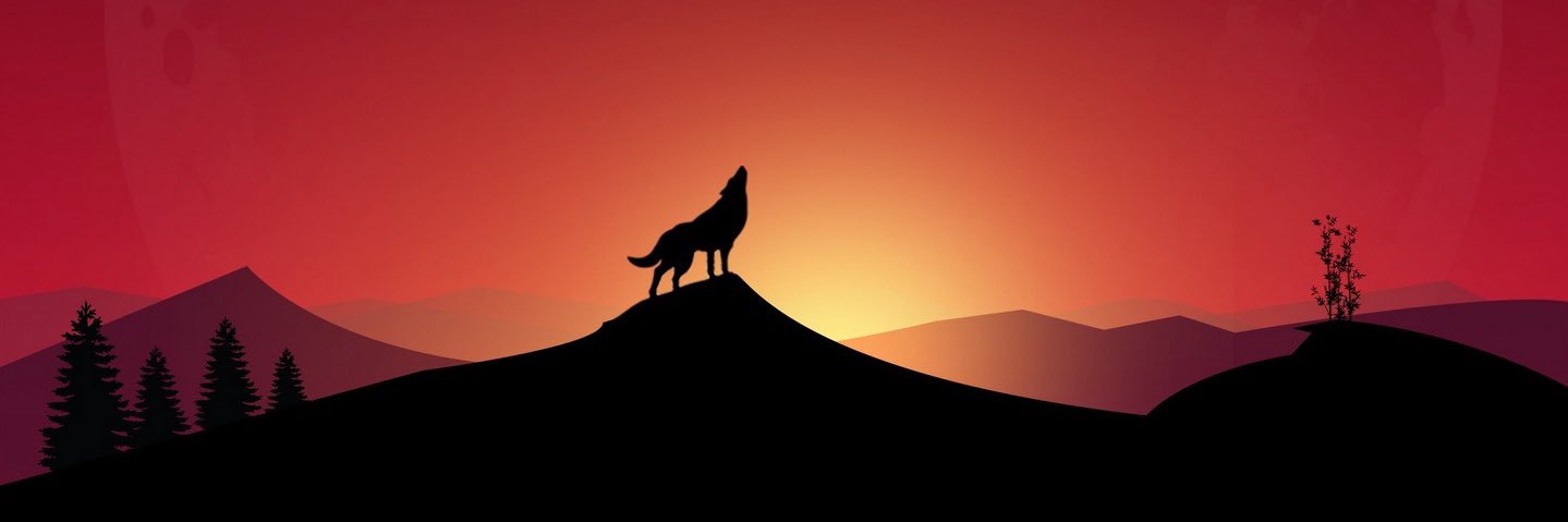nohefox1's profile banner image