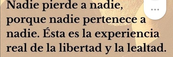 flormariaorteg1's profile banner image
