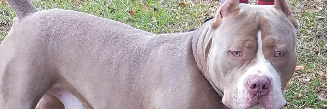 MoolahMoon's profile banner image