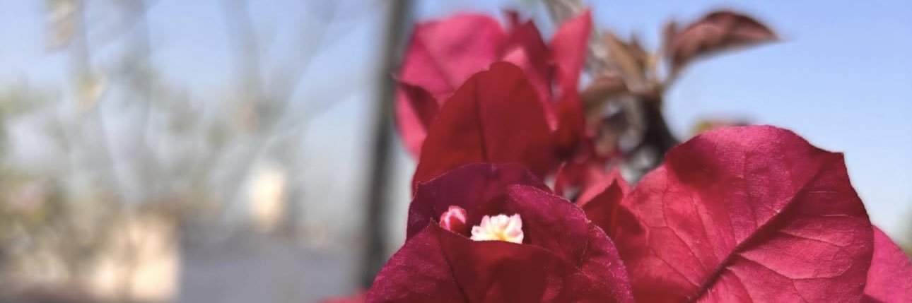 _brendajaet's profile banner image