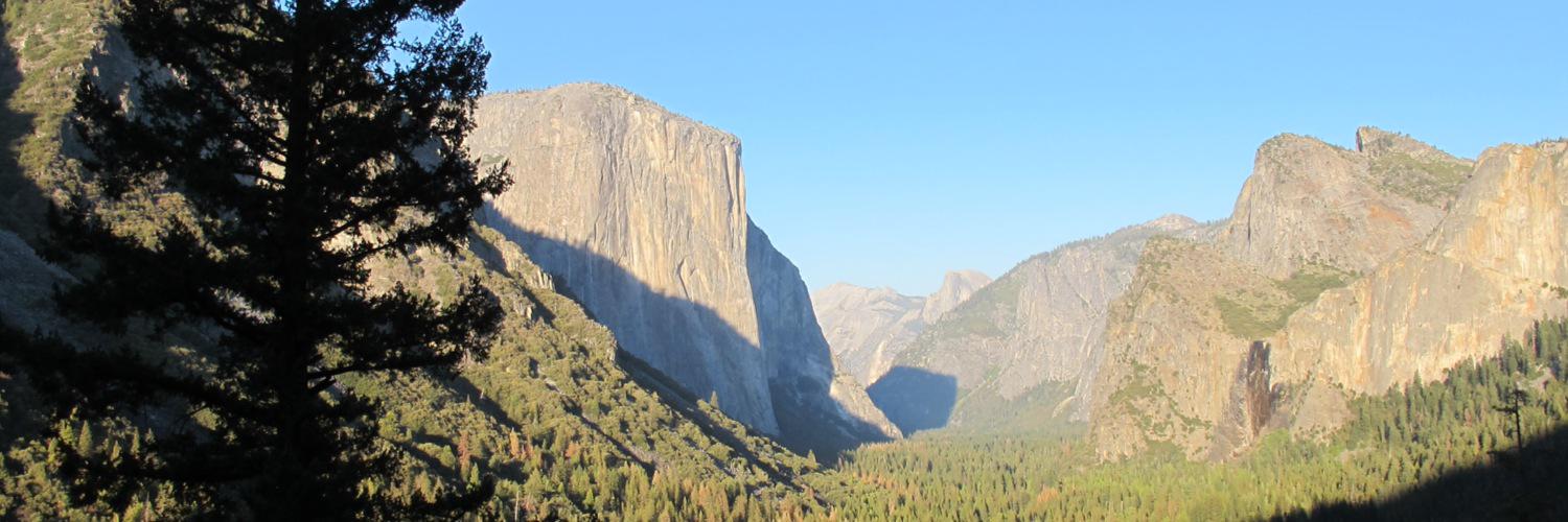 Ian Stuart 💙 banner