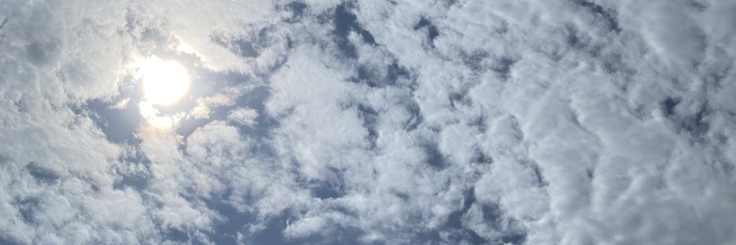 sun☀️sito banner