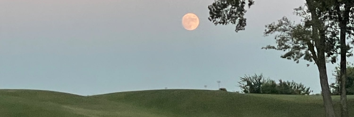 amyrjoe's profile banner image
