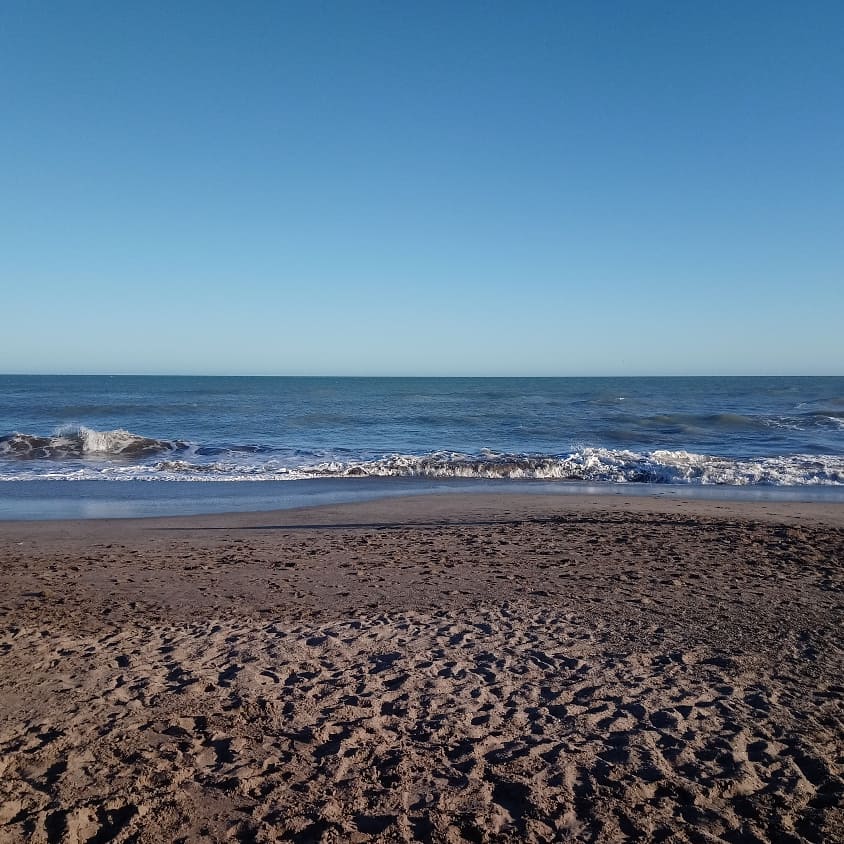 Marisa Repetto banner