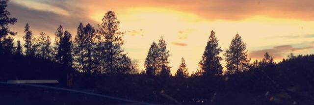 cw_wren's profile banner image