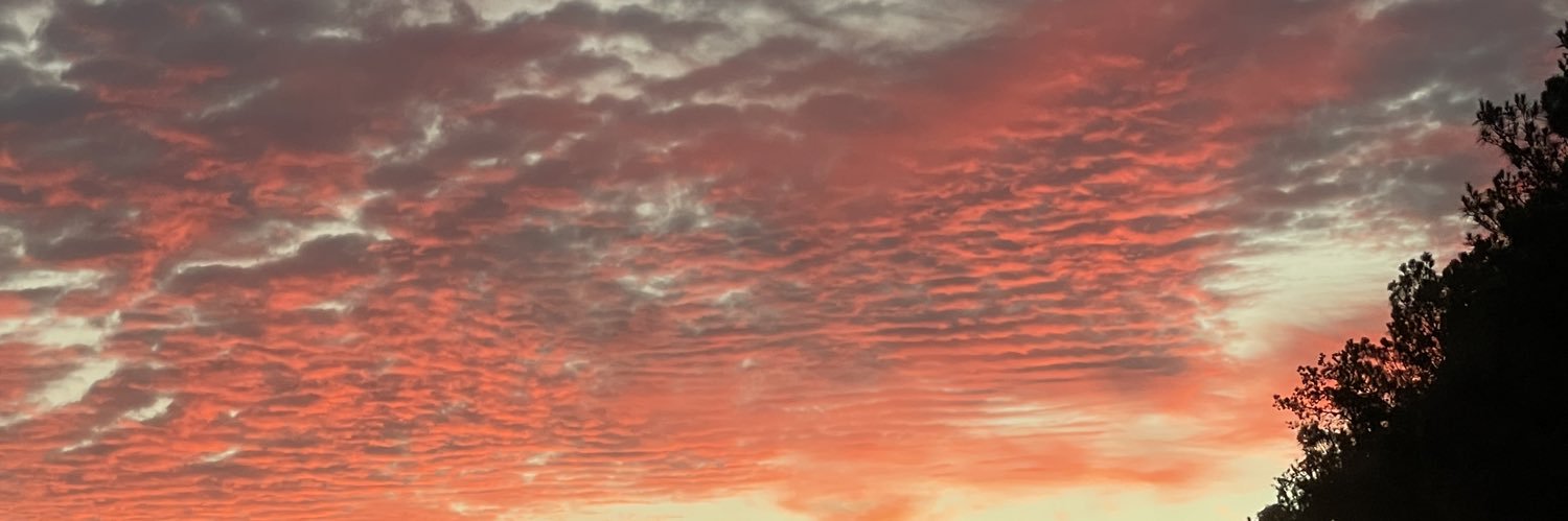 Deborah Raley banner