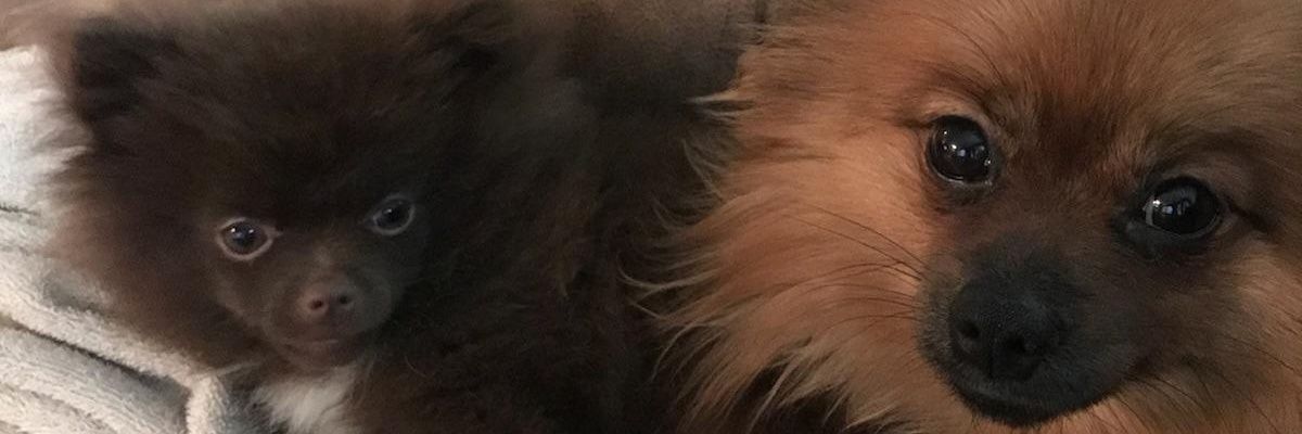 stroprock's profile banner image