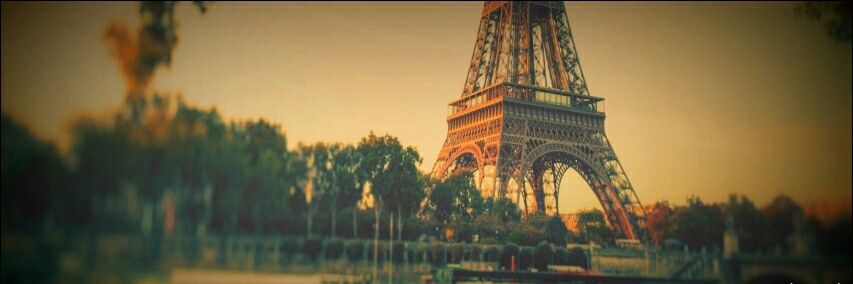 Gabriela Roffe banner