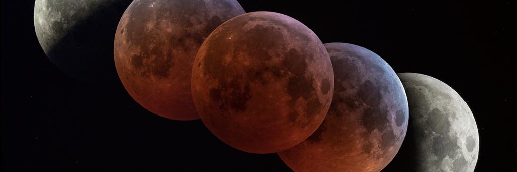 _rigolinski's profile banner image