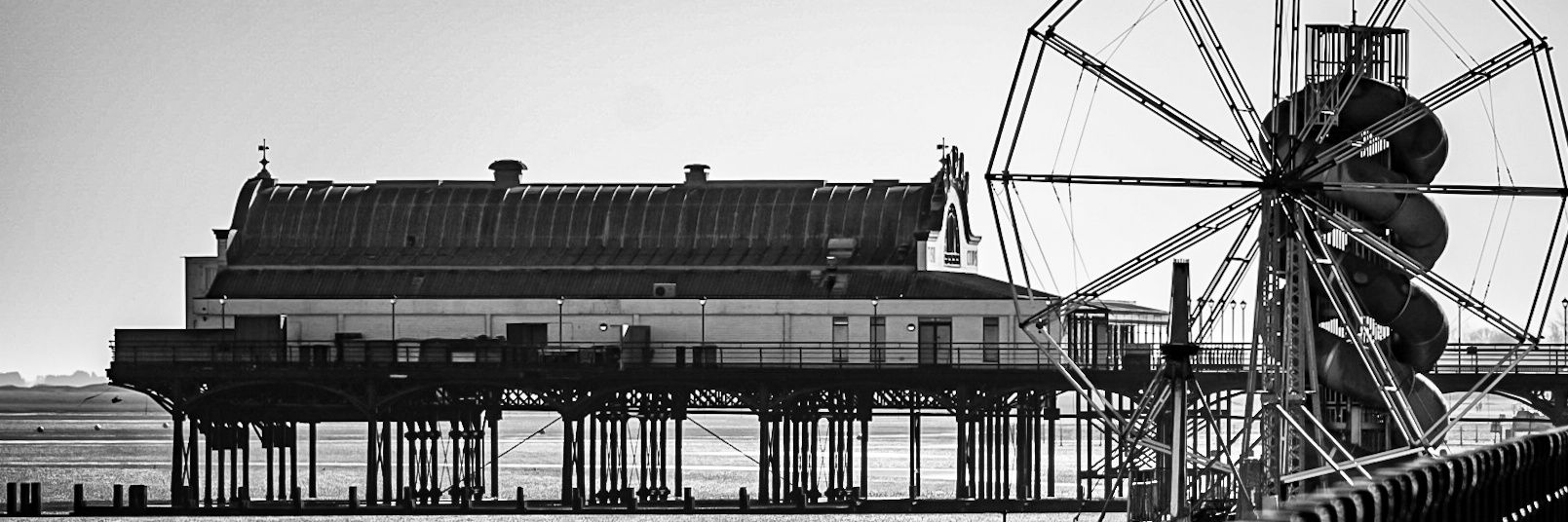 That guy alex banner