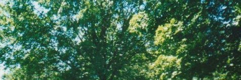 VekPang's profile banner image