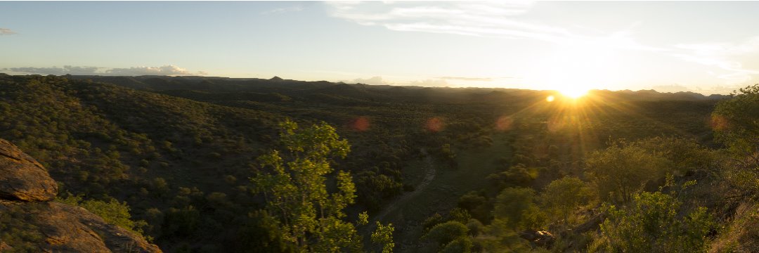 olaotse_'s profile banner image