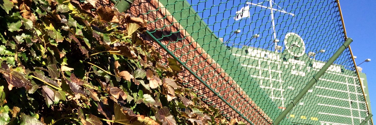 Maria Sapienza banner