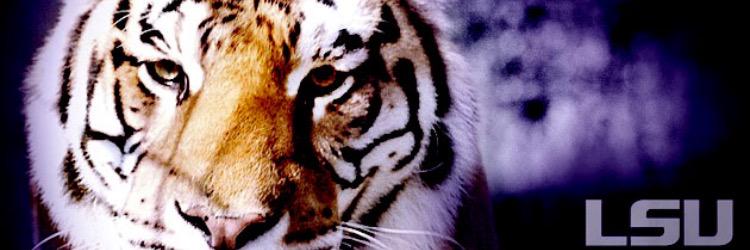 TPCazenave's profile banner image
