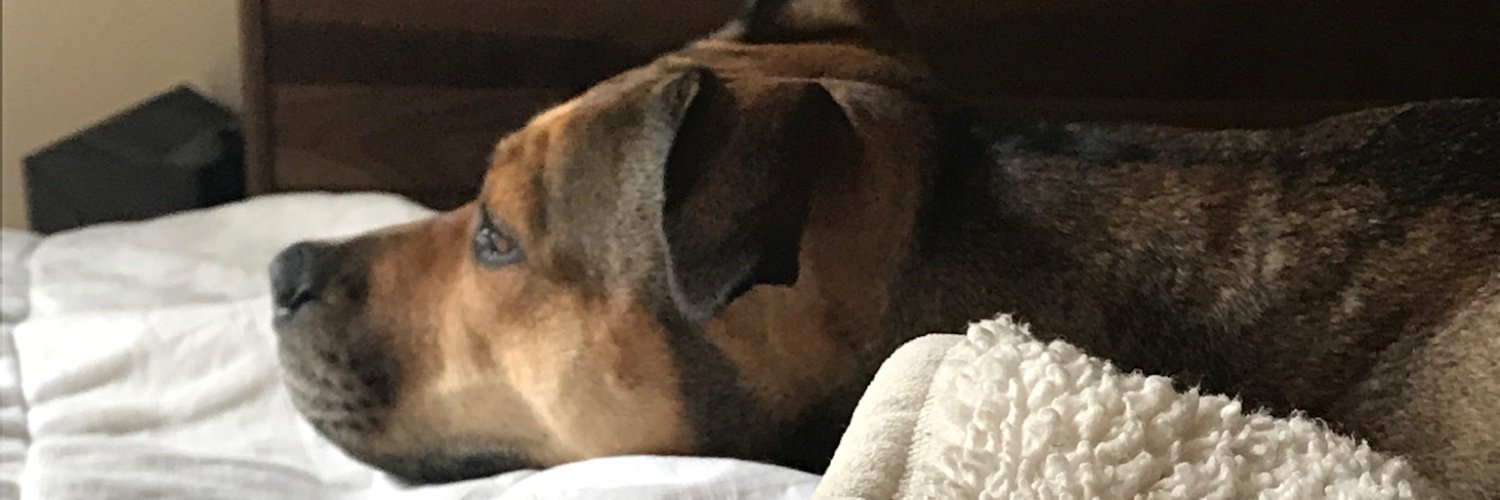 Floriana Lima banner