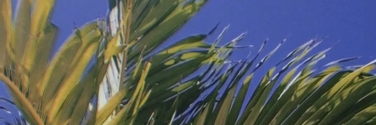 Cheetah_Printt's profile banner image