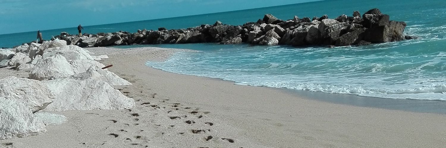 andicried's profile banner image