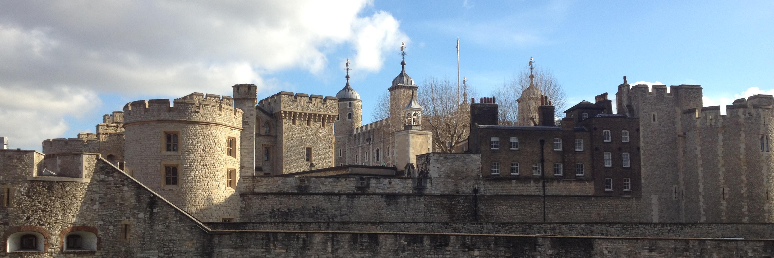 Caroline Fleischauer banner