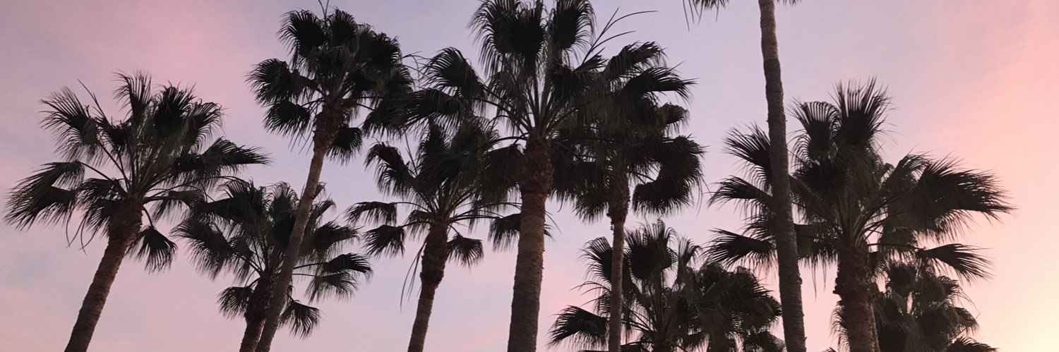 ApexAlx's profile banner image