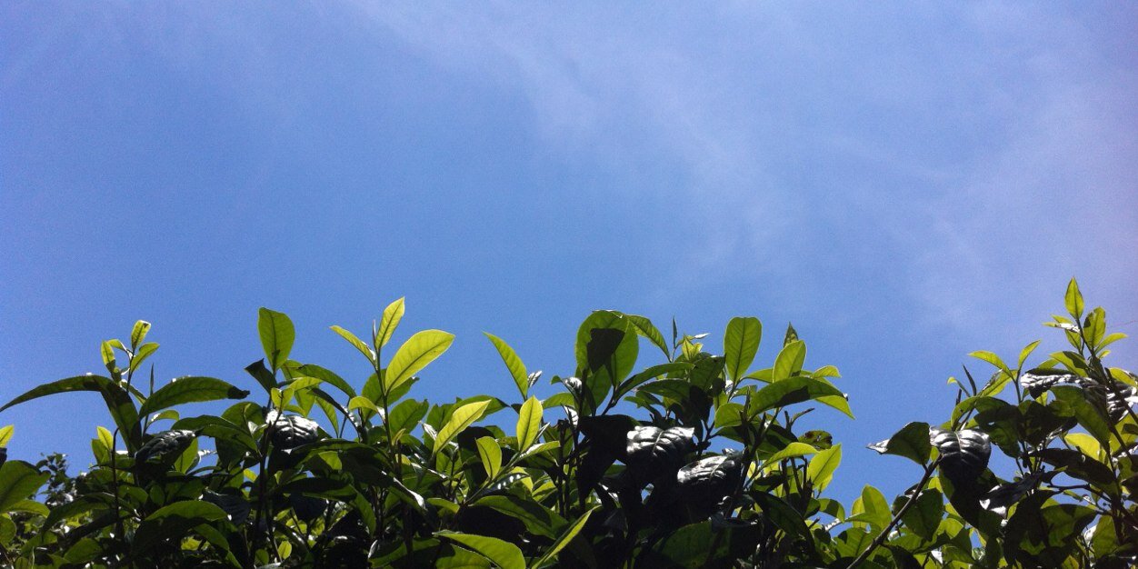 teh2323's profile banner image