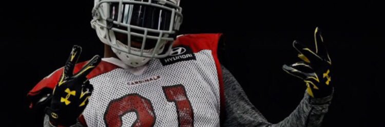 Kendall Williamson banner