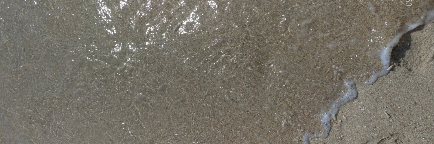 ricottajun's profile banner image