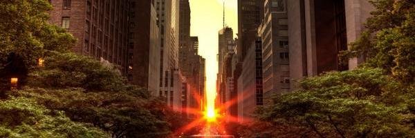 Awildrice's profile banner image