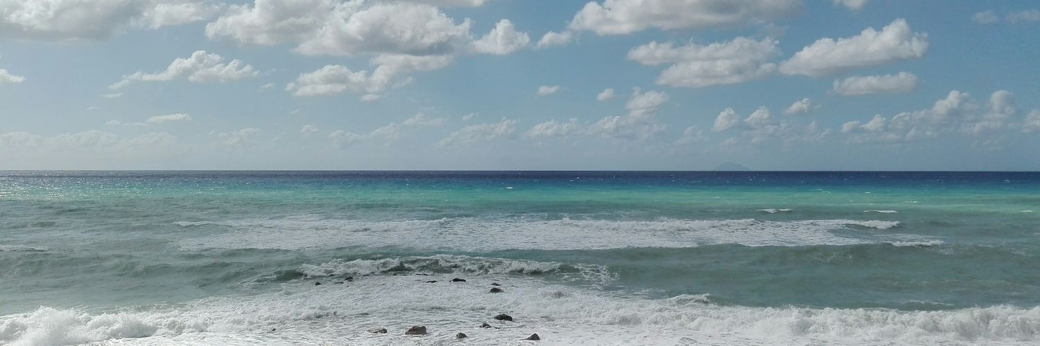 rosariaester's profile banner image