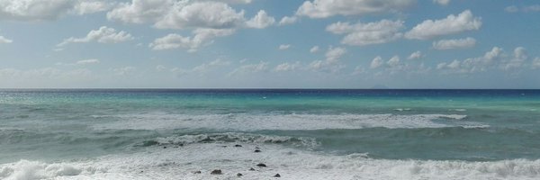 rosariaester Profile Banner