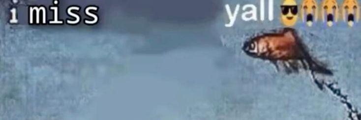 hessstv's profile banner image