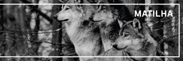 utko's profile banner image