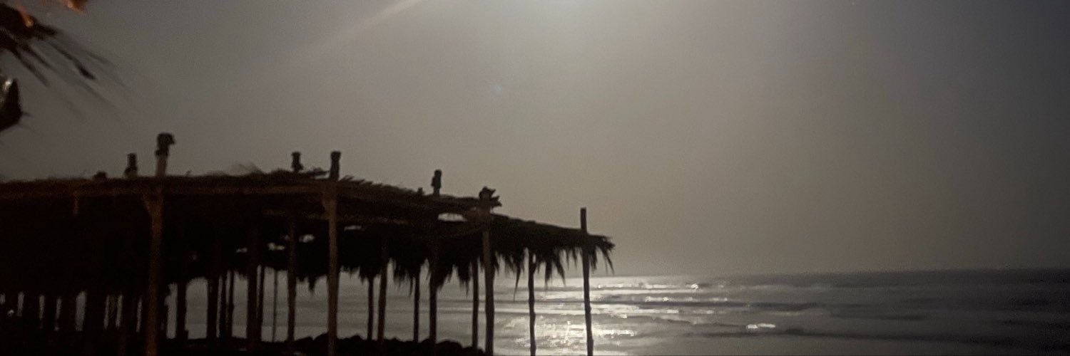 Rsolecitho's profile banner image